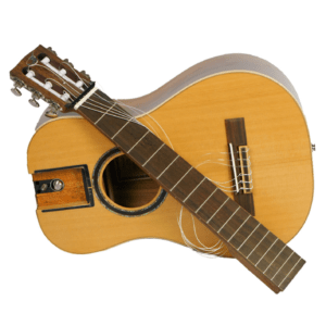 Reisegitarren