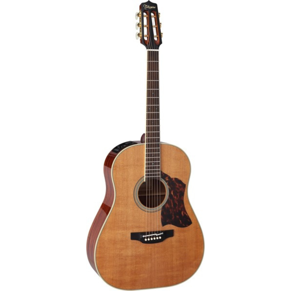 Takamine CRN-TS1 Slope Shoulder Dreadnought - Backstage Music