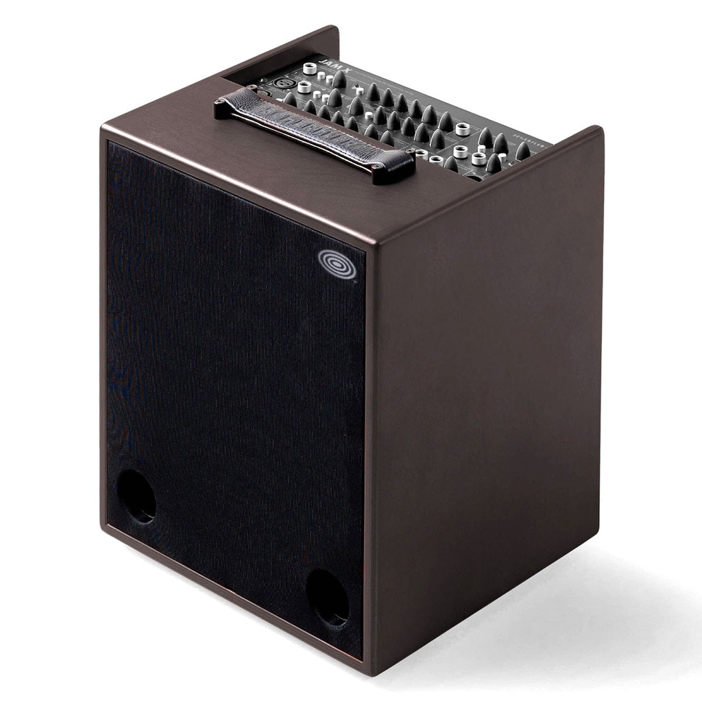 Schertler Jam X Wood (240 Watt) - Backstage Music