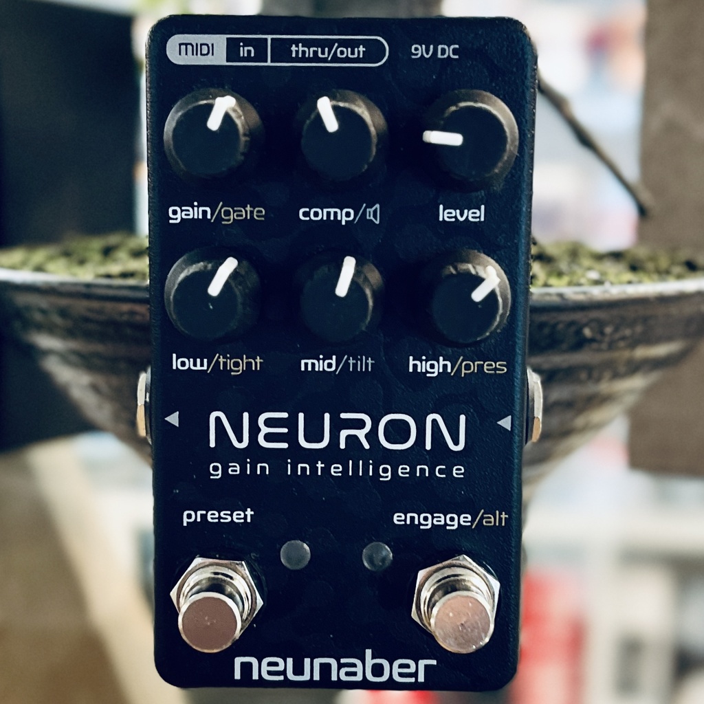 Neunaber OCCASION Neuron Gain Intelligence - Backstage Music