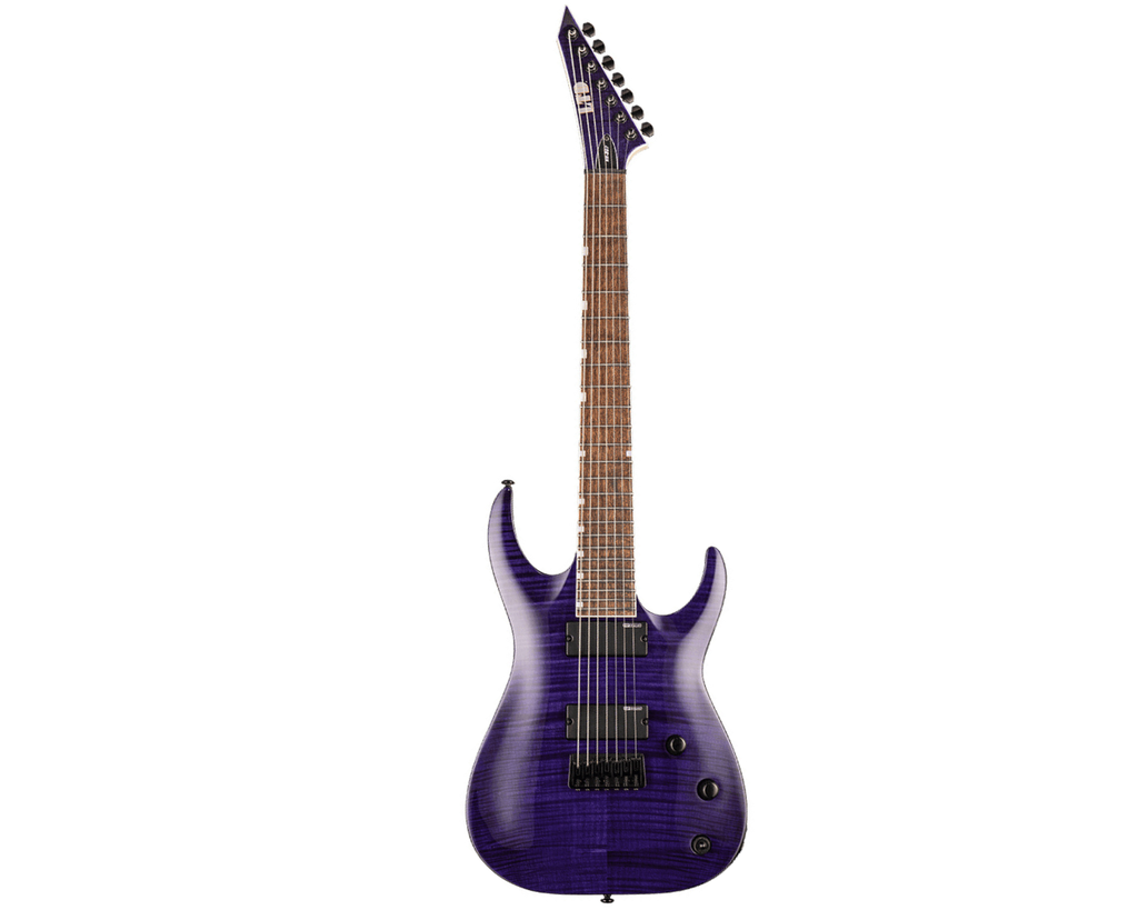LTD SH-207 STP Brian Welch Signature - Backstage Music