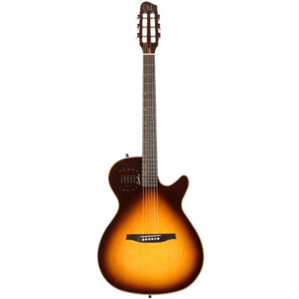 Godin MultiAc Steel Duet Ambiance