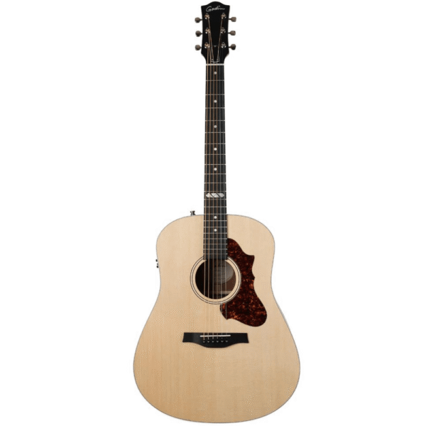Godin Metropolis Classic QIT